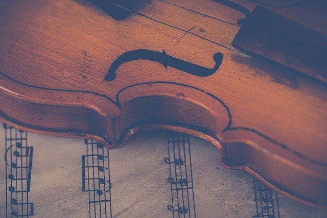 violin online lesson price